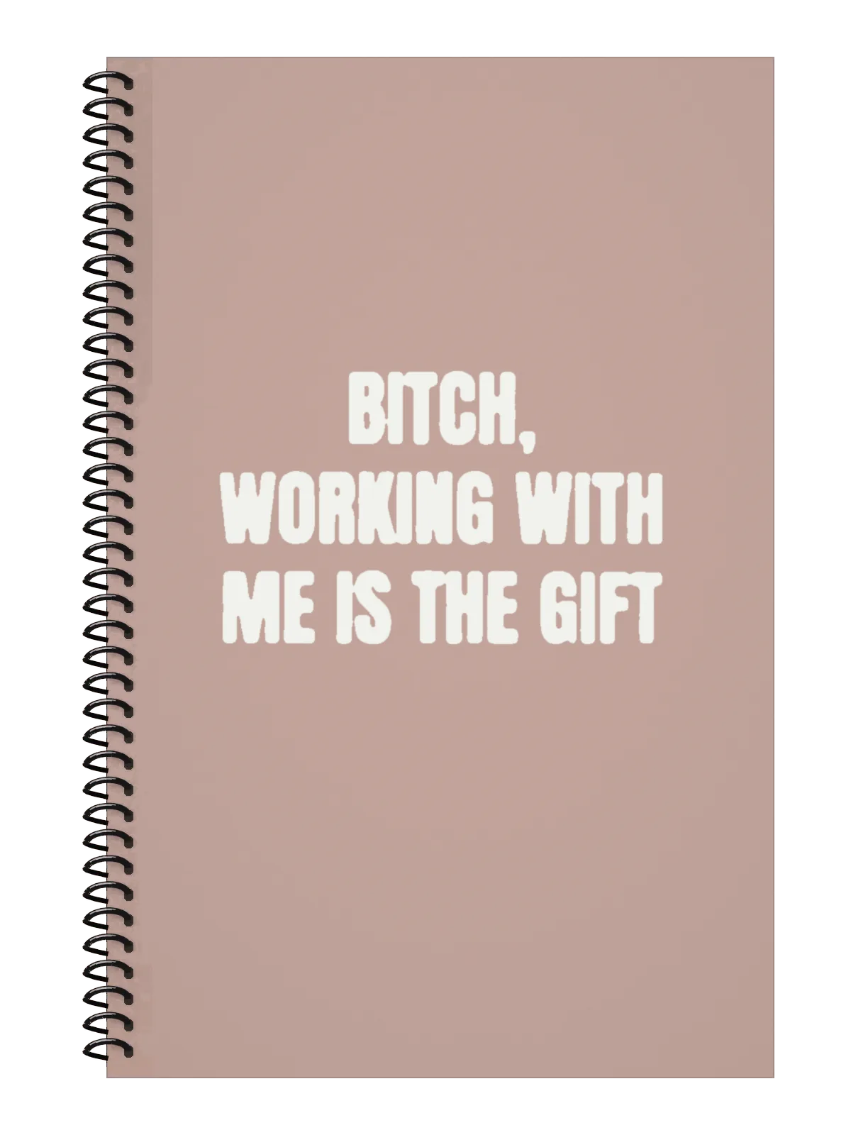 Bitch, Working With Me Is the Gift Notebook — Light Pink