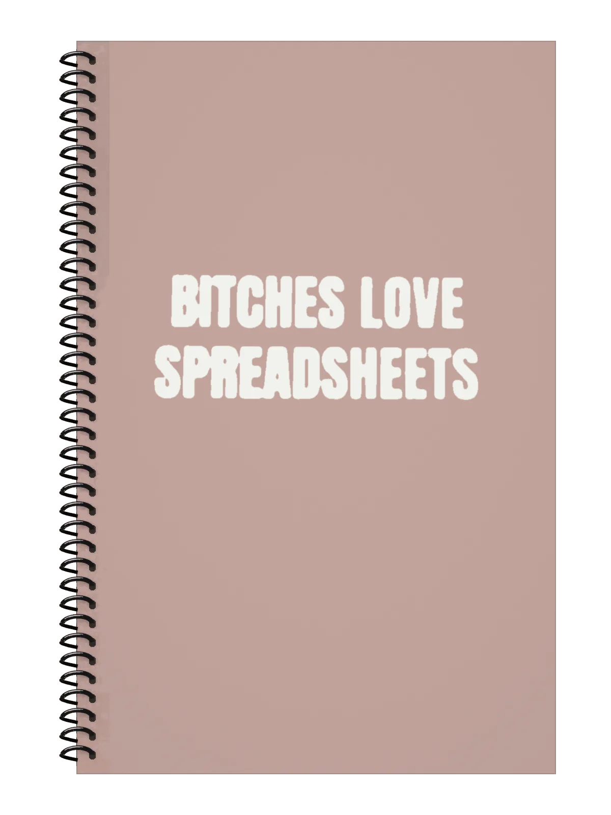 Bitches Love Spreadsheets Notebook — Light Pink