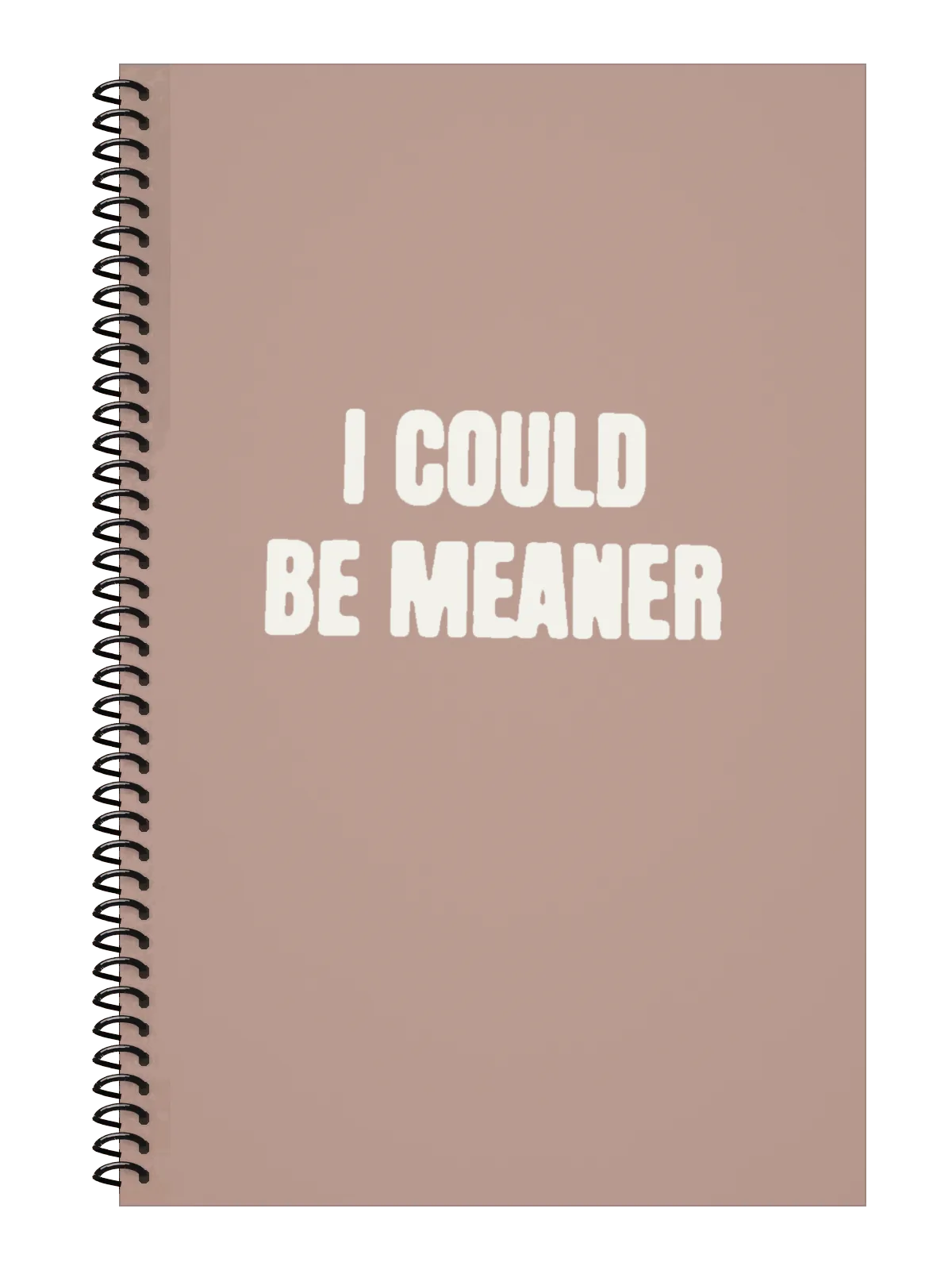 I Could Be Meaner Notebook — Light Pink