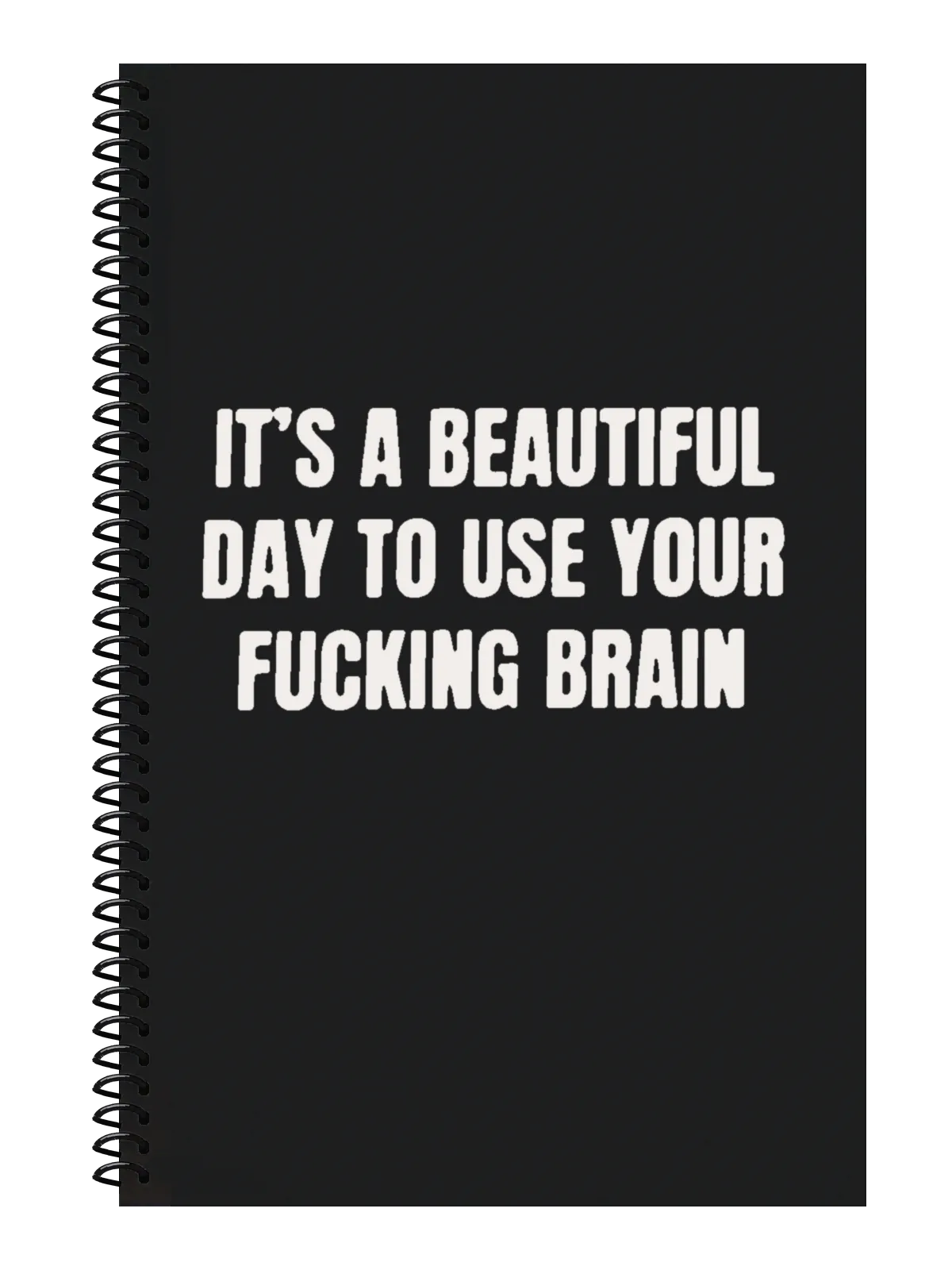It's a Beautiful Day to Use Your Fucking Brain Notebook — Black
