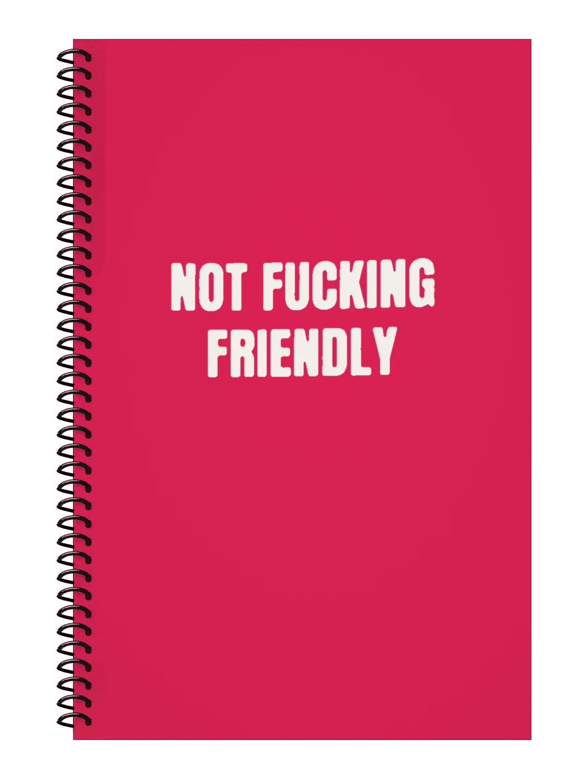 Not Fucking Friendly Notebook — Hot Pink