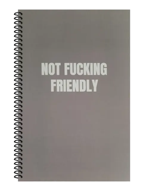 Not Fucking Friendly funny spiral notebook in gray (Office Gray) – 5.5 x 8.5 inch college ruled office notebook by Office Snarky